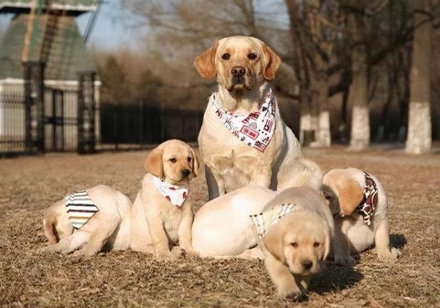 20221116114756_60702 20221116114756_60702