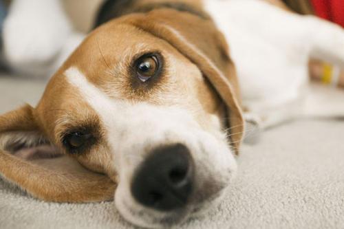 20221116115057_28360