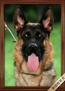 20221116140006_57550