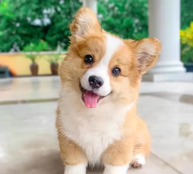 20221116140317_68176 20221116140317_68176