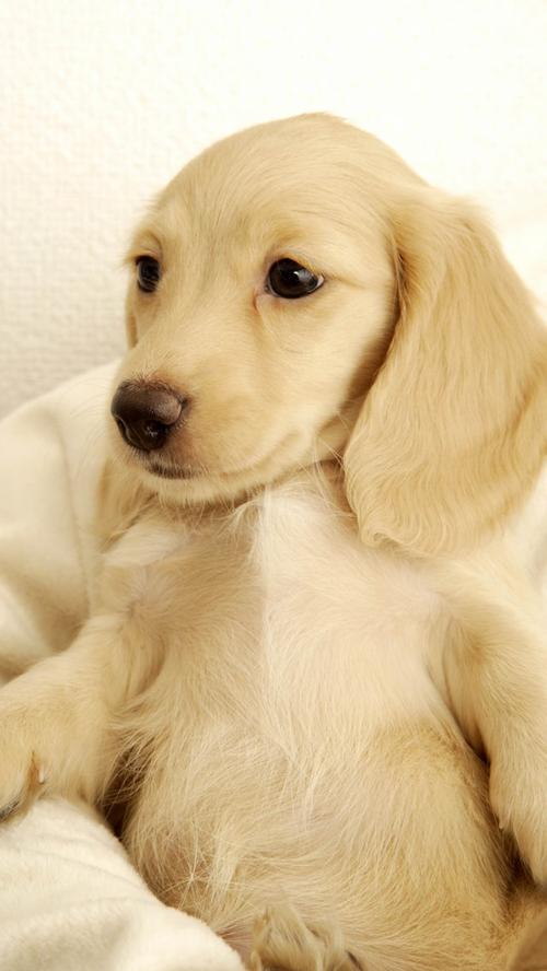 20221116140840_74237