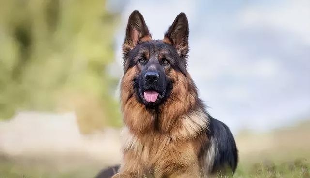 20221116141626_37378