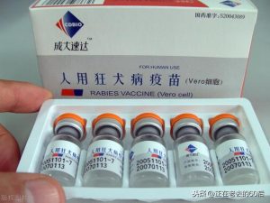 不明伤口怀疑狗咬(老是怀疑伤口是狗咬的)-警犬训练器材厂家 _警犬训练用品_工作犬训练用品-南京开久警犬装备