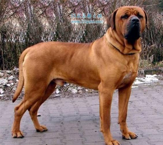 20221116145442_79922