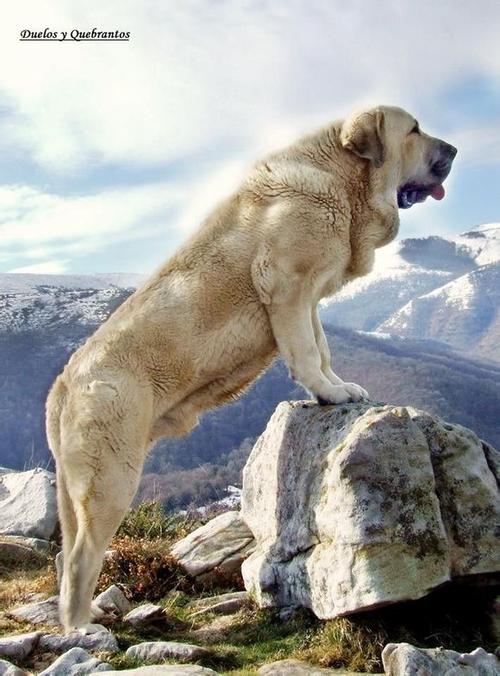 20221116145443_86319