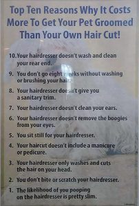 北京狗市_2022年北京狗市-警犬训练器材厂家 _警犬训练用品_工作犬训练用品-南京开久警犬装备