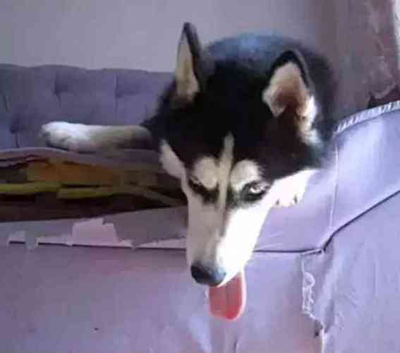 20221116151800_34579