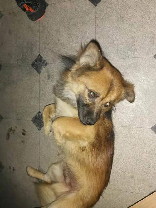 20221116151800_88029