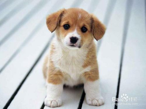 20221116151945_32406