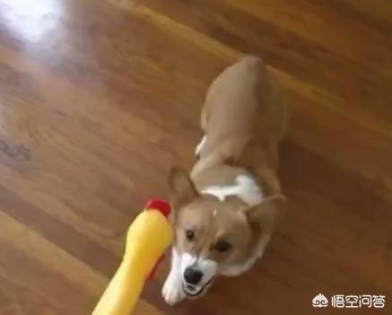 20221116152227_19031 20221116152227_19031