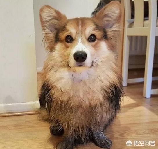 20221116152227_75195 20221116152227_75195