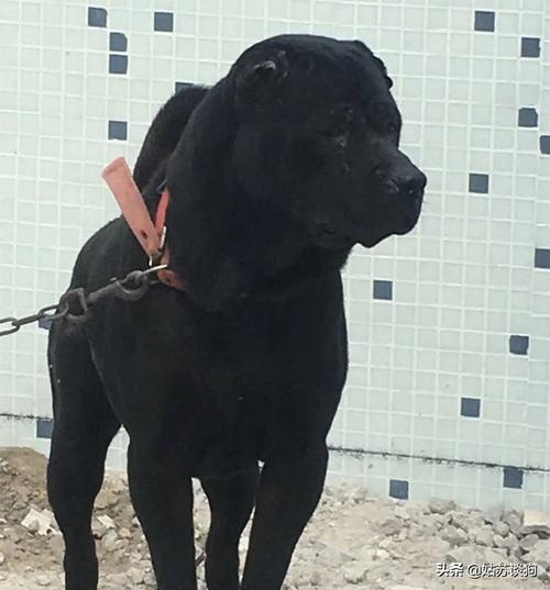 20221116153231_53482