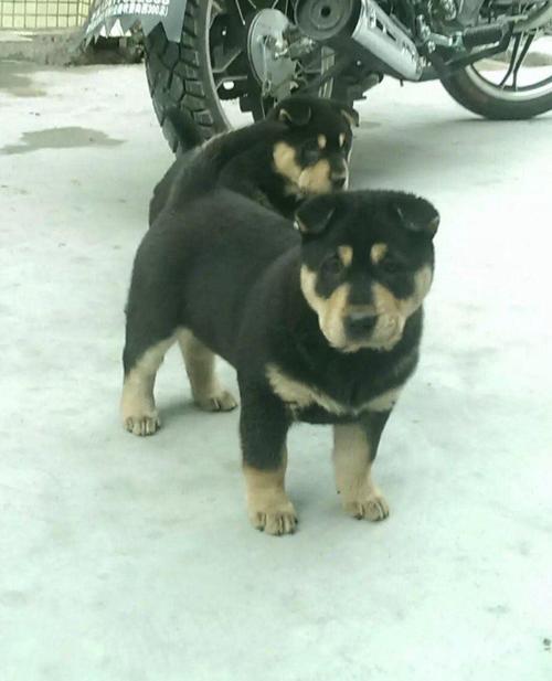 20221116153231_62442