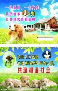 狗护食怎么办(狗护食怎么办)-警犬训练器材厂家 _警犬训练用品_工作犬训练用品-南京开久警犬装备