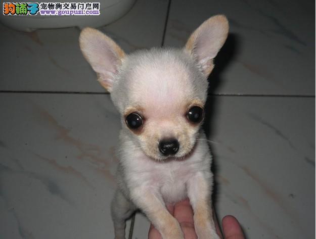 20221116155929_44199 20221116155929_44199