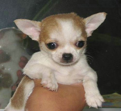 20221116155930_51518 20221116155930_51518