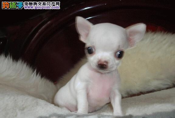 20221116155930_83147 20221116155930_83147