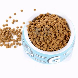 狗狗生产流墨绿色液体是怎么回事(狗生产时流墨绿色液体)-警犬训练器材厂家 _警犬训练用品_工作犬训练用品-南京开久警犬装备