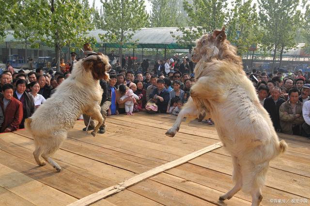 20221116162212_39632 20221116162212_39632