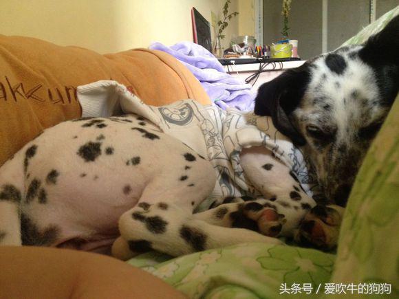 20221116162528_25306