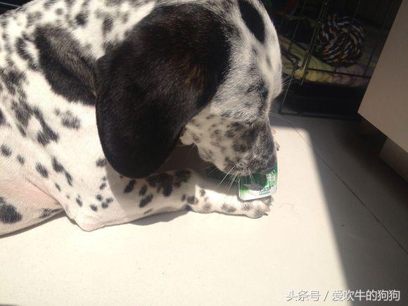 20221116162528_93052