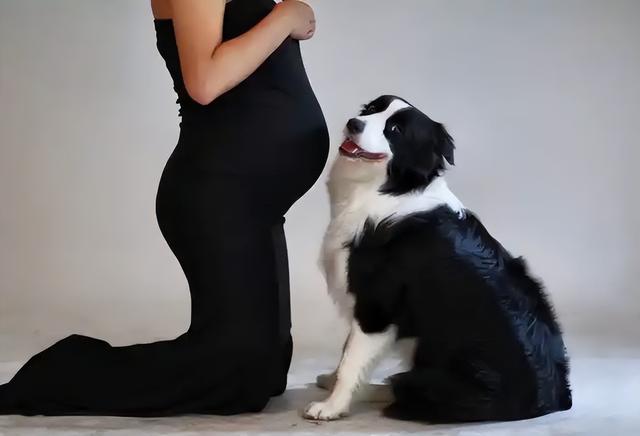 20221116162906_47308 20221116162906_47308