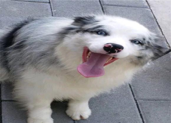 20221116163003_29286