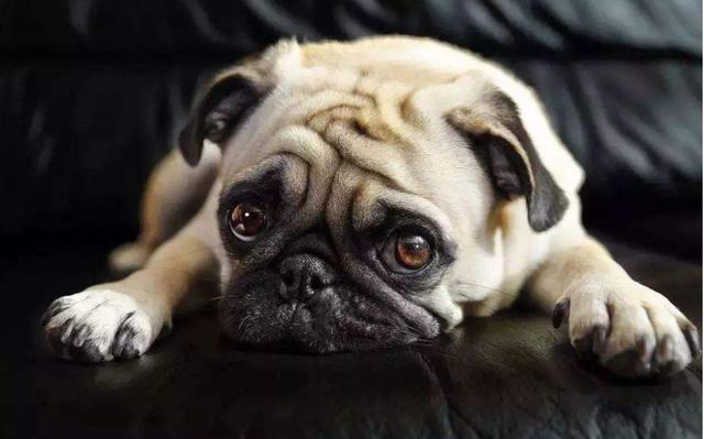 20221116165401_26360