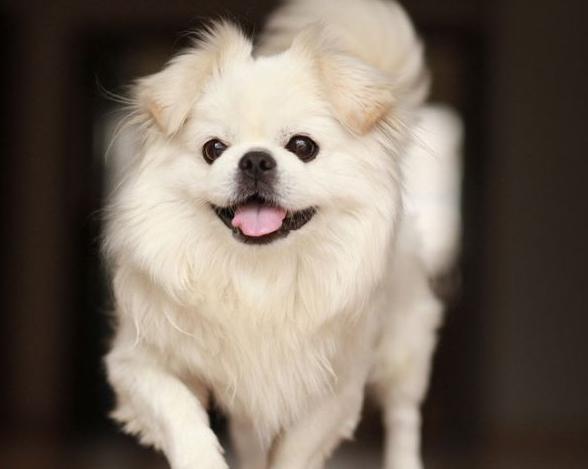 20221116165401_34091