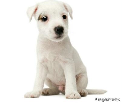 20221116171049_57538