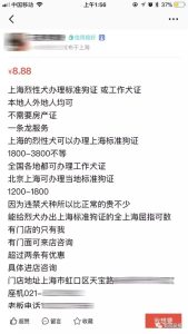 恶霸犬可以办狗证吗(济南恶霸犬可以办狗证吗)-警犬训练器材厂家 _警犬训练用品_工作犬训练用品-南京开久警犬装备