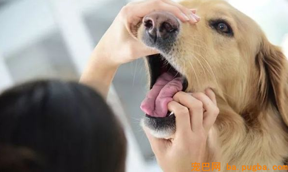 20221116175640_48456 20221116175640_48456