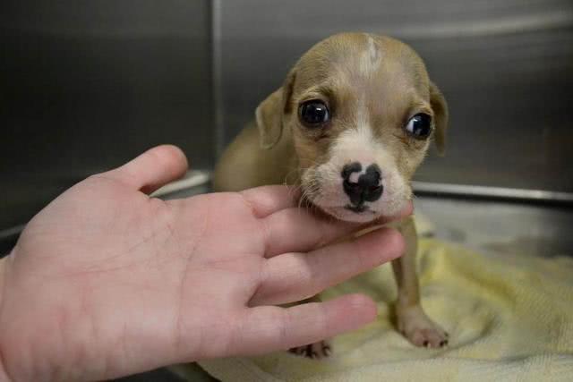 20221116175641_62883 20221116175641_62883