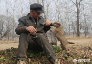 我做女犬开心的日子(我做女犬开心的日子)-警犬训练器材厂家 _警犬训练用品_工作犬训练用品-南京开久警犬装备