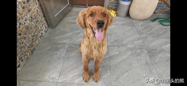 20221116180627_92304