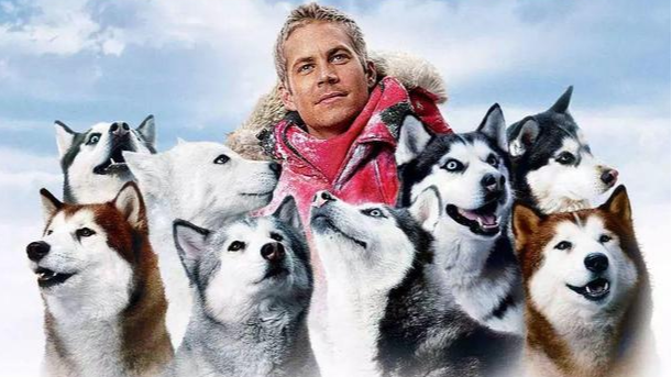 南极大冒险的八只狗_南极大冒险的八只狗叫什么名字 - 警犬训练器材厂家 _警犬训练用品_工作犬训练用品-南京开久警犬装备-警犬训练器材厂家 _警犬训练用品_工作犬训练用品-南京开久警犬装备