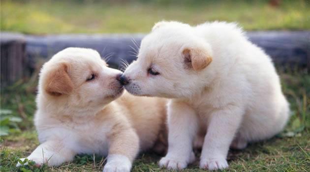 20221116181835_61471 20221116181835_61471