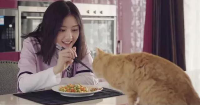 20221116182439_43047