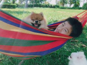 幼犬第一针可以打八联吗-警犬训练器材厂家 _警犬训练用品_工作犬训练用品-南京开久警犬装备