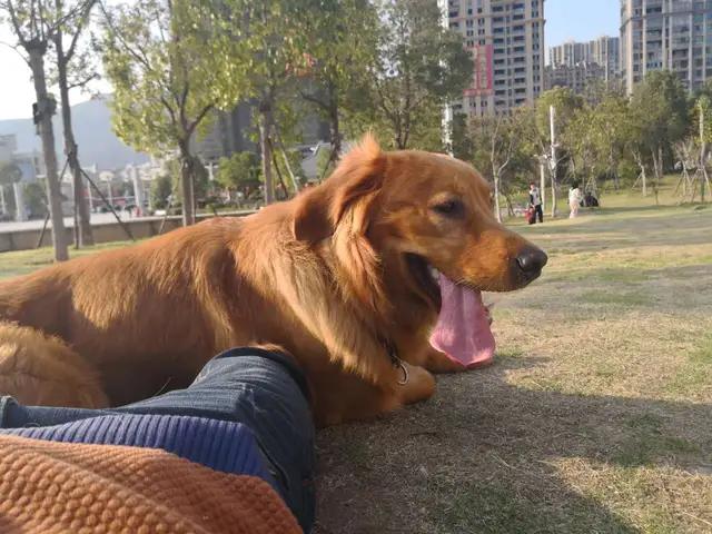 20221116183113_60715 20221116183113_60715