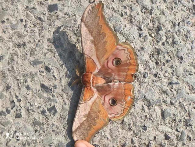 20221116190907_16483 20221116190907_16483