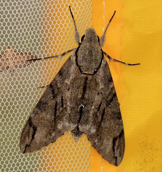 20221116190907_23755 20221116190907_23755