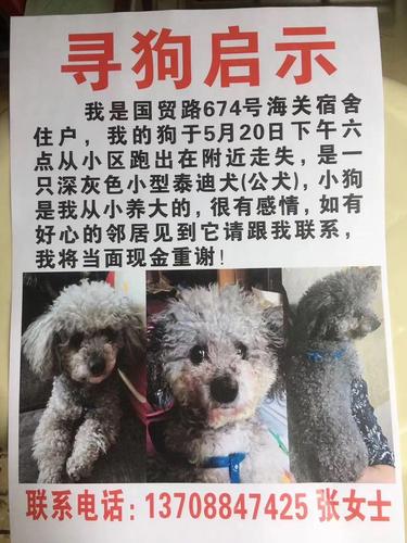 寻狗启示寻狗启事(寻狗启示能找到狗吗) - 警犬训练器材厂家 _警犬训练用品_工作犬训练用品-南京开久警犬装备-警犬训练器材厂家 _警犬训练用品_工作犬训练用品-南京开久警犬装备