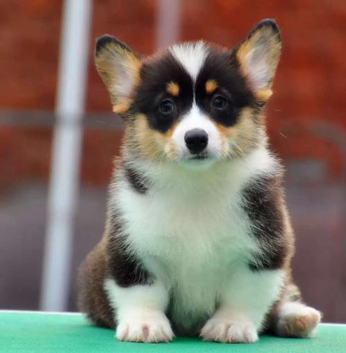 20221116192950_99139