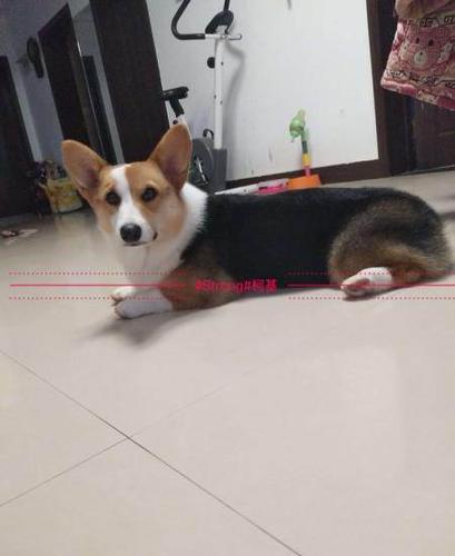 20221116192951_95771