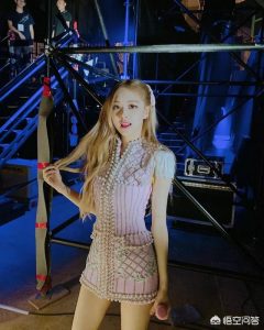 jennie的狗为什么叫kai(jennie的狗为啥叫开)-警犬训练器材厂家 _警犬训练用品_工作犬训练用品-南京开久警犬装备