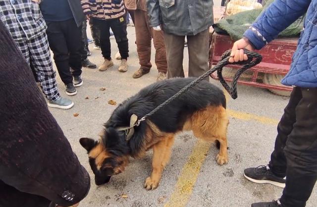 20221116194217_39603