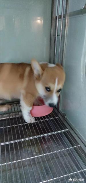 20221116201912_39025