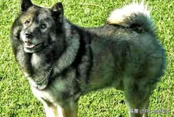 20221116202404_52462 20221116202404_52462