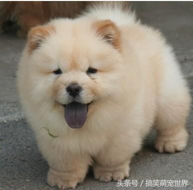 20221116202405_23709